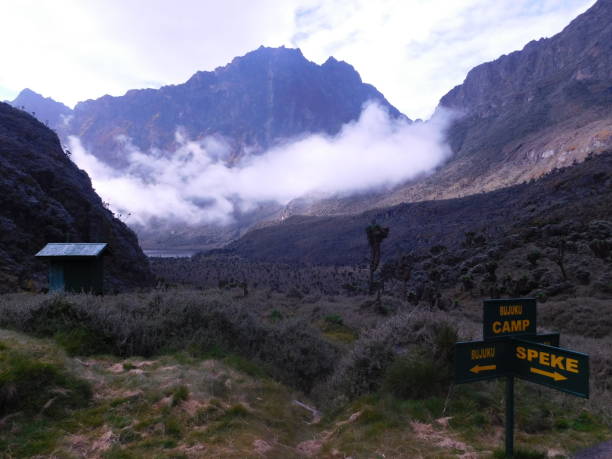 Mt Baker and Laku Bujuku as seen from Bujuku Camp in Rwenzori Mountains Uganda